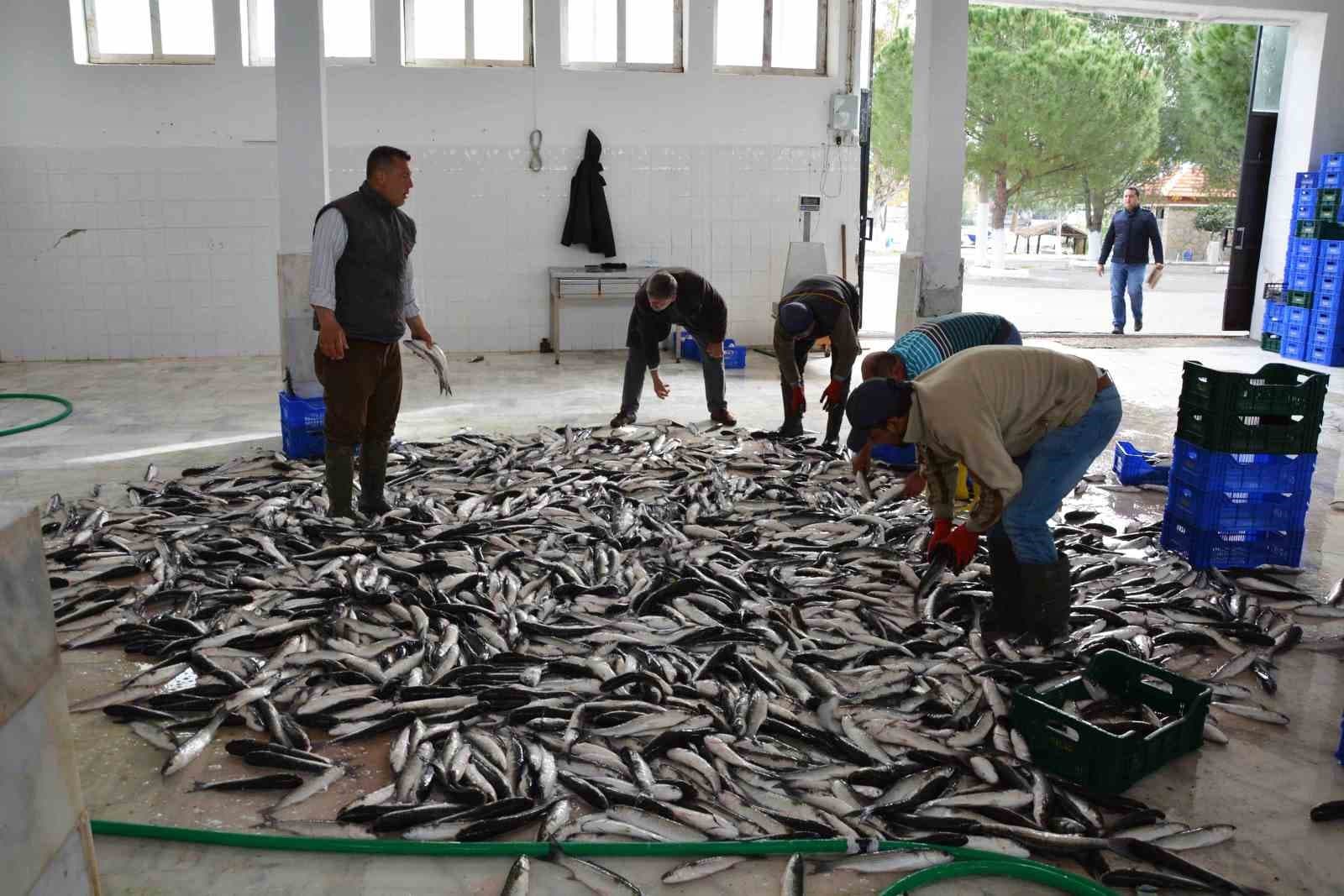 Muğla, Ege Bölgesinin ihracat artış lideri