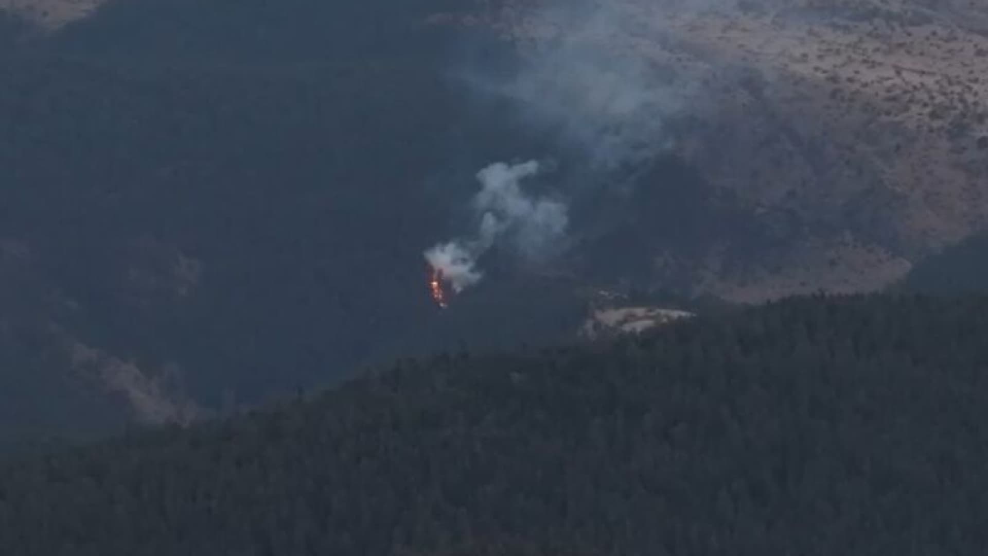 Bolu’da orman yangını