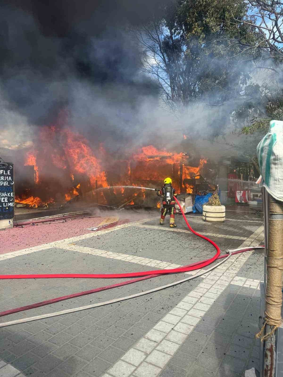 Edremit’te iş yerlerinin bulunduğu bölgede korkutan yangın