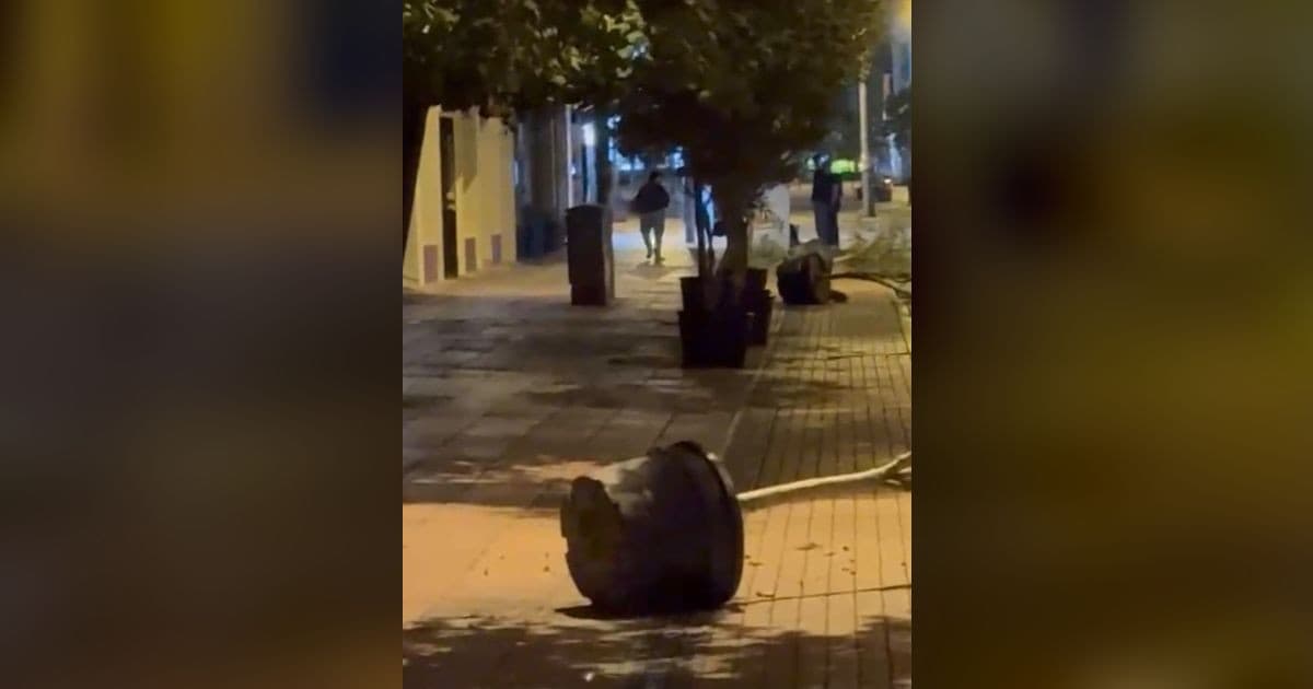 Yol kenarındaki saksıları devirerek yürüdü