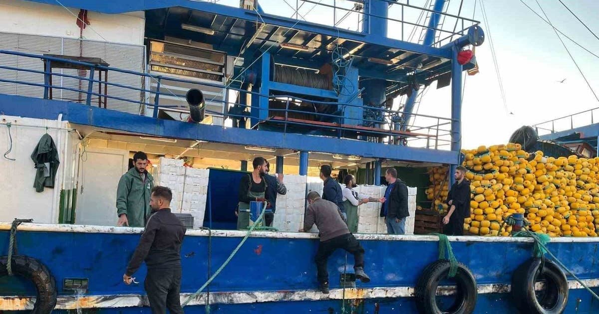 Didim’de hamsi kotası denetimleri sürüyor
