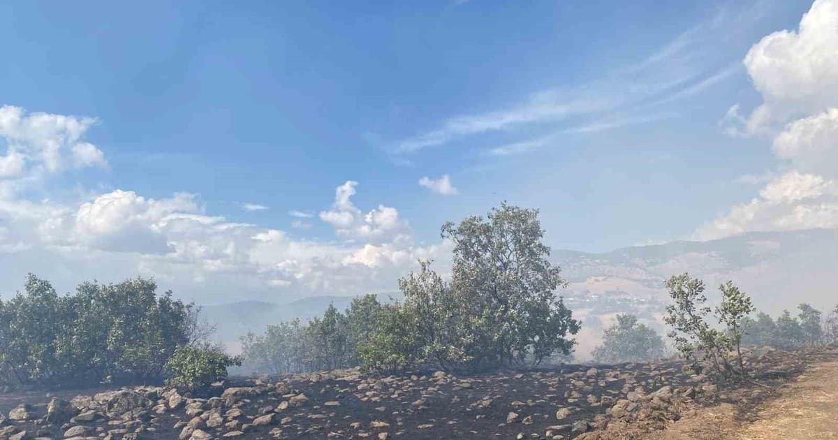 Karakoçan’da çıkan yangın söndürüldü