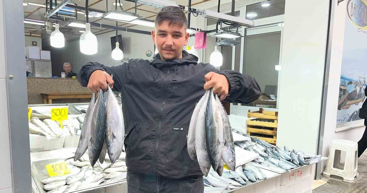 Sinop’ta palamut 50 lira