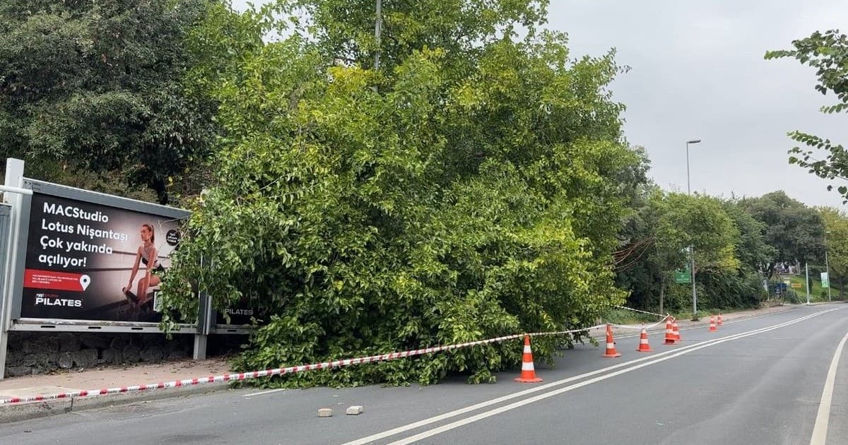 İstanbul’da yağış sonrası ağaçlar devrildi, rögarlar taştı
