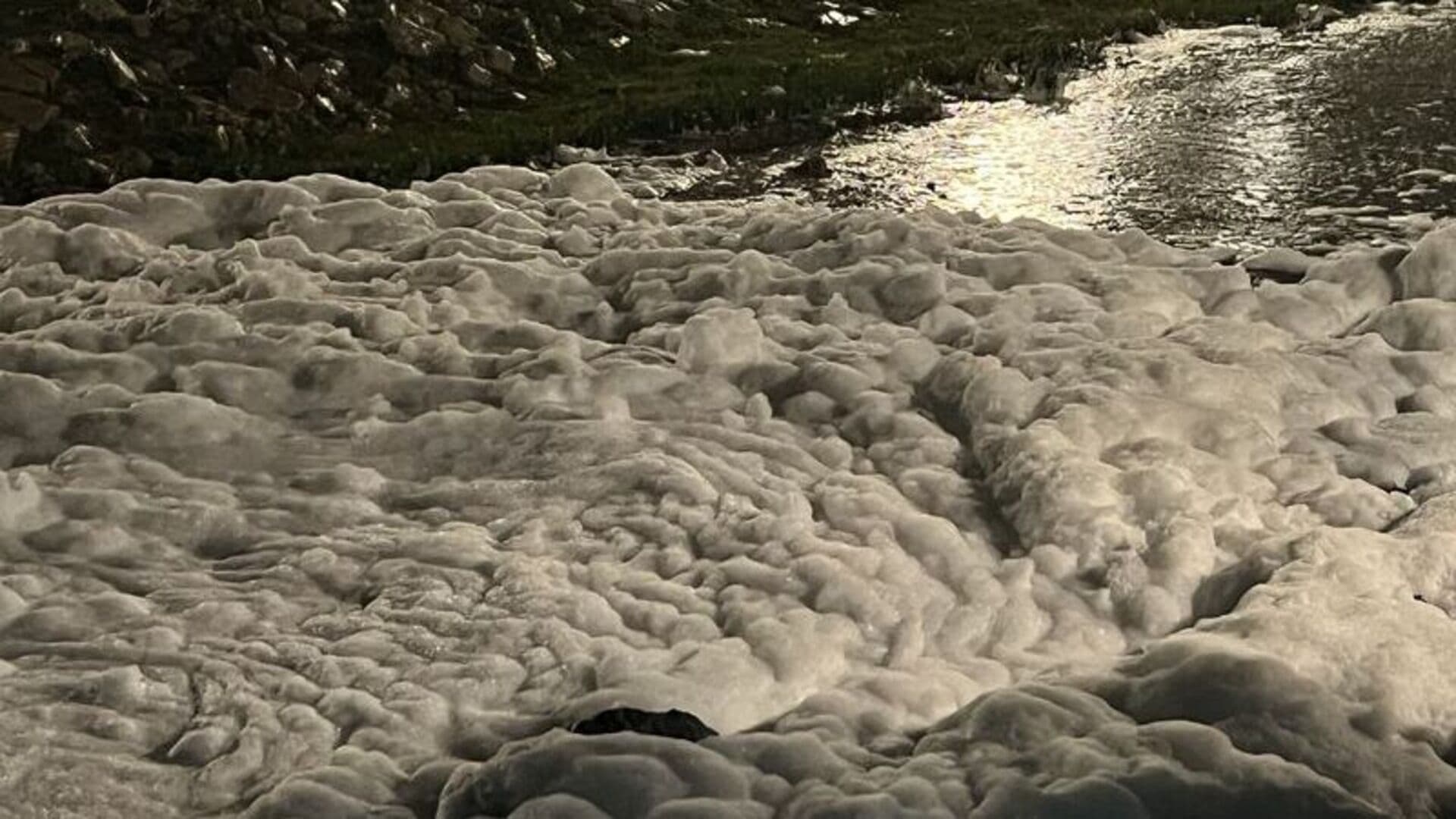 Yoğun köpük analizi tamamlandı