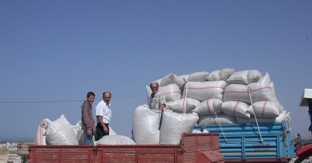 Beyşehir’de yeni mahsul haşhaş tohumu alımları başlıyor