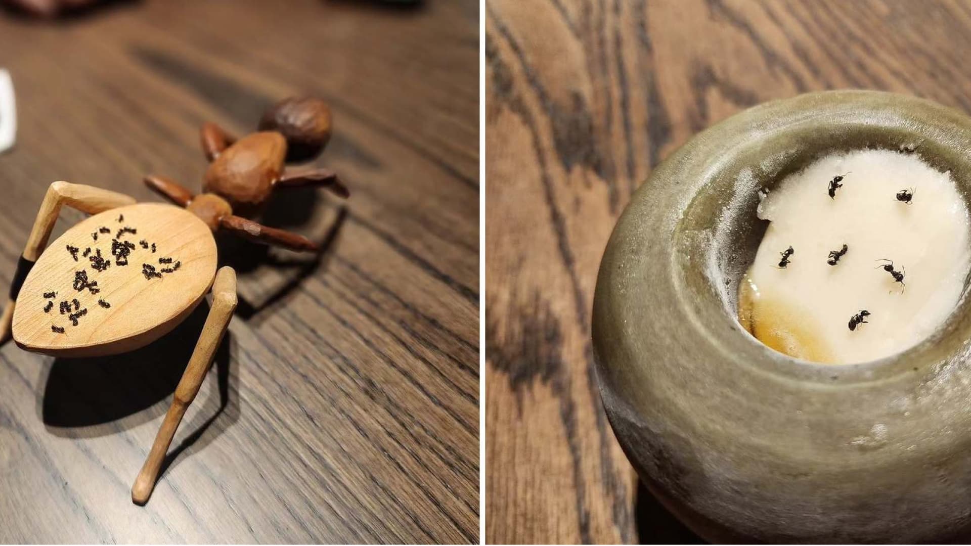 Michelin yıldızlı restoranda karınca skandalı