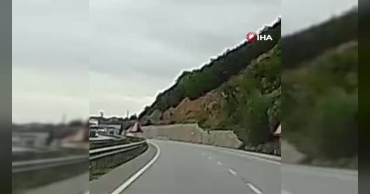 Yola düşen geyiğin yardımına koştu