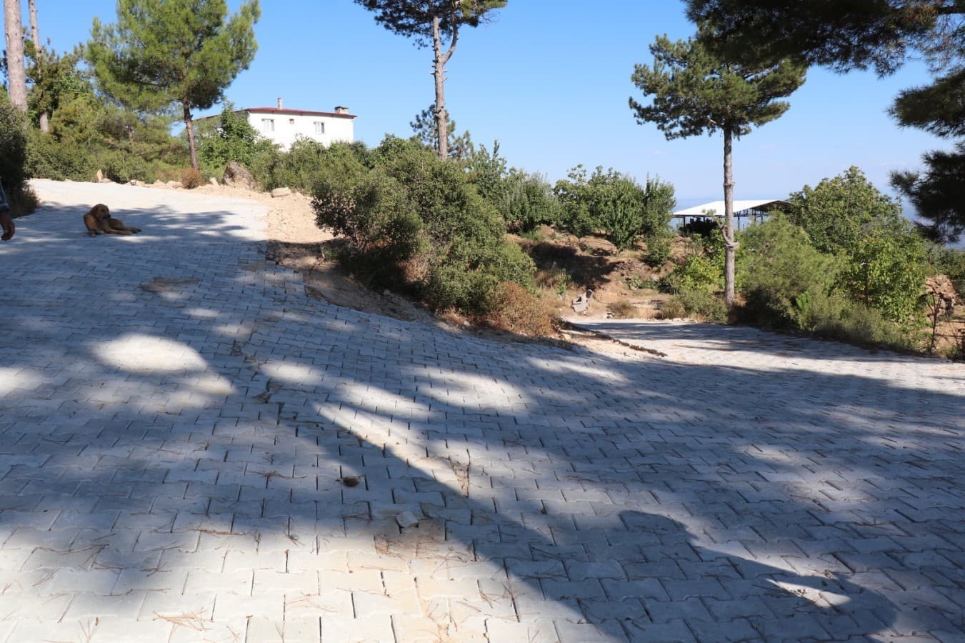 Bozdoğan Madran Mahallesi'nin Yayla Yolu Yenilendi