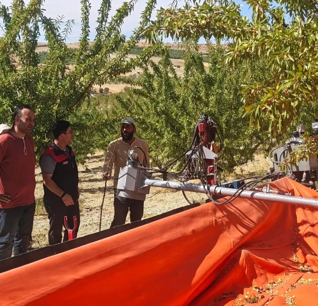 Ağın'da Badem Üreticilerine Saha Desteği ve Hasat Rehberliği