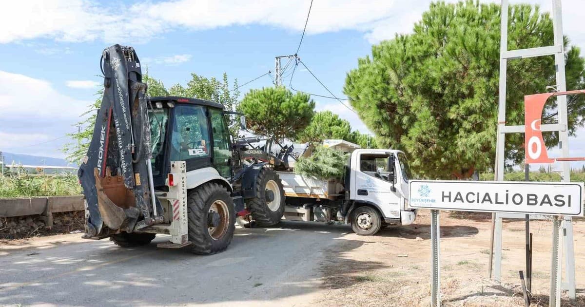 Hacıaliobası Mahallesi'nde Yeşil Alanlar Yenilendi