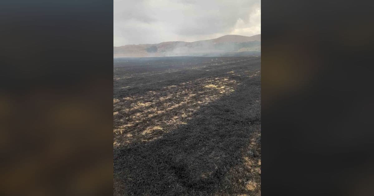 Kovancılar'da Anız Yangını İtfaiye Ekiplerince Söndürüldü