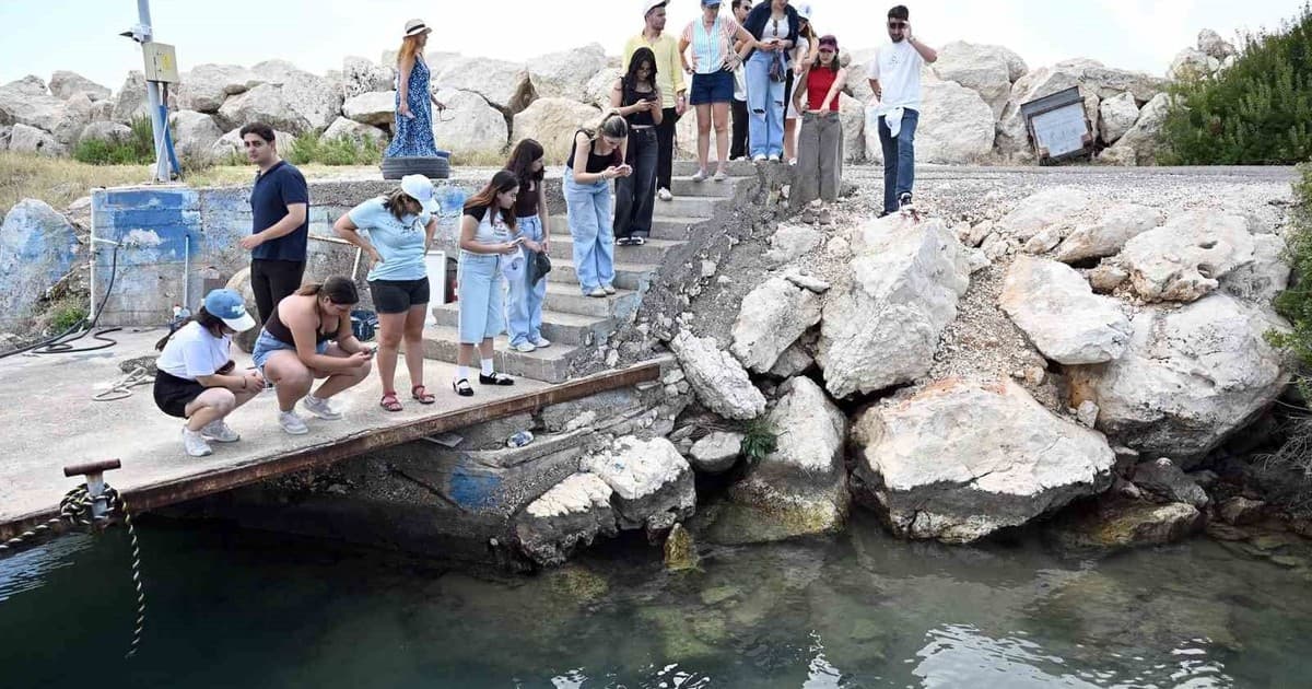Mersin'de Kıyı ve Deniz Canlıları MINKA Mobil Uygulamasıyla Kayıt Altına Alınıyor