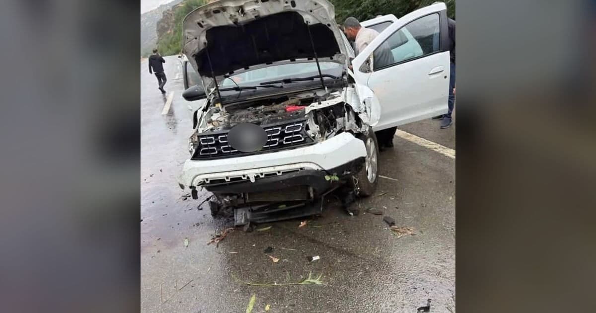 Bingöl'de Kontrolden Çıkan Otomobil Ağaca Çarptı: 2 Yaralı