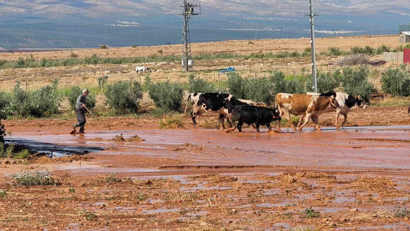 Hatay'da Sağanak Yağış Sele Dönüştü: Tarım Arazileri ve Evler Sular Altında Kaldı