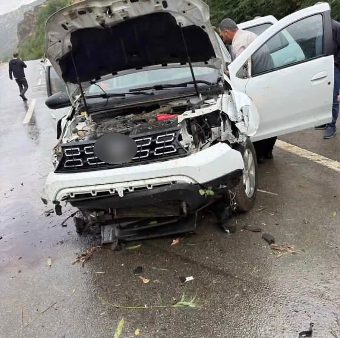 Bingöl'de Kontrolden Çıkan Otomobil Ağaca Çarptı: 2 Yaralı