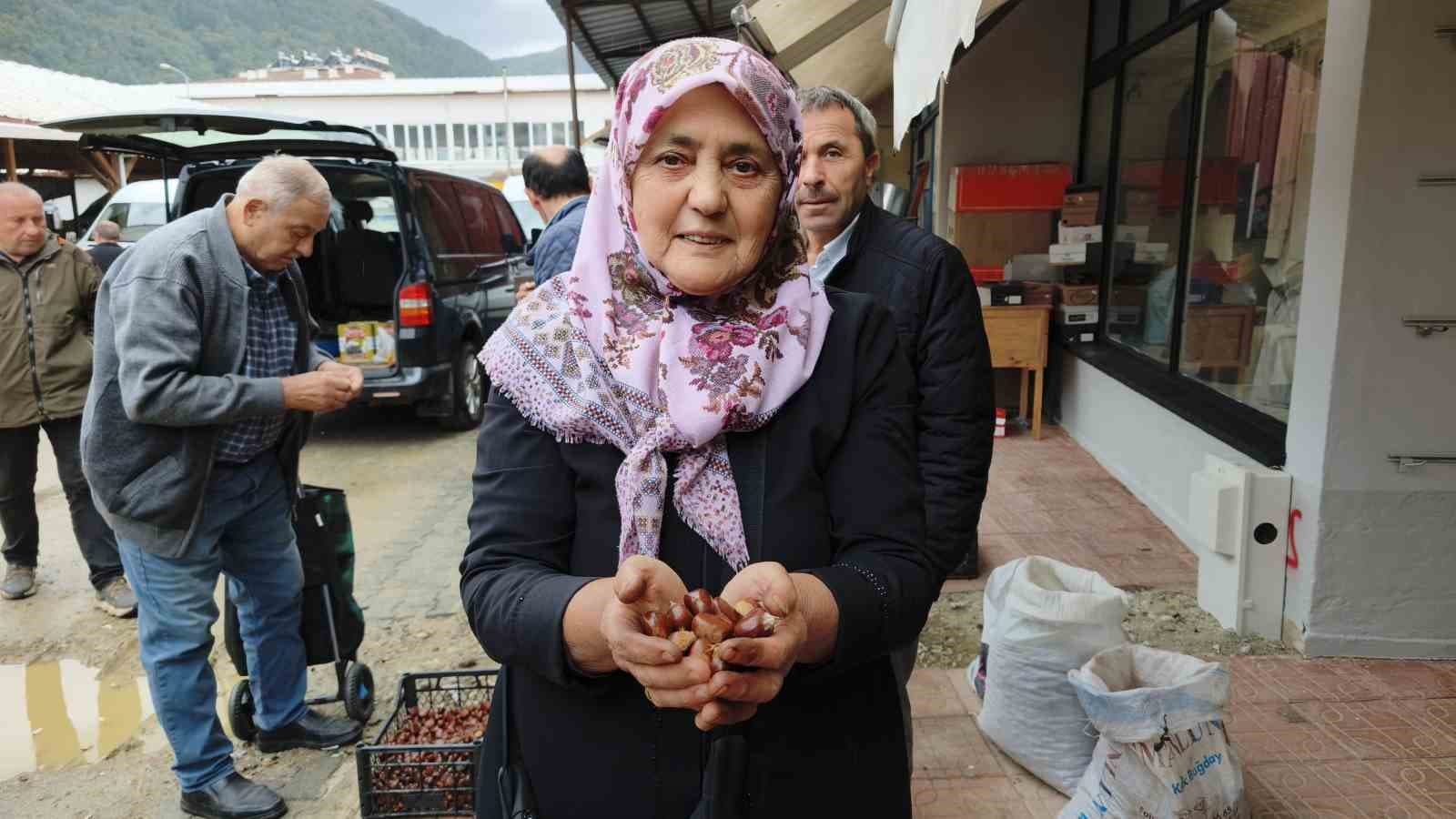 Dünyaca Ünlü Erfelek Kuzu Kestanesinde Hasat Dönemi Başladı