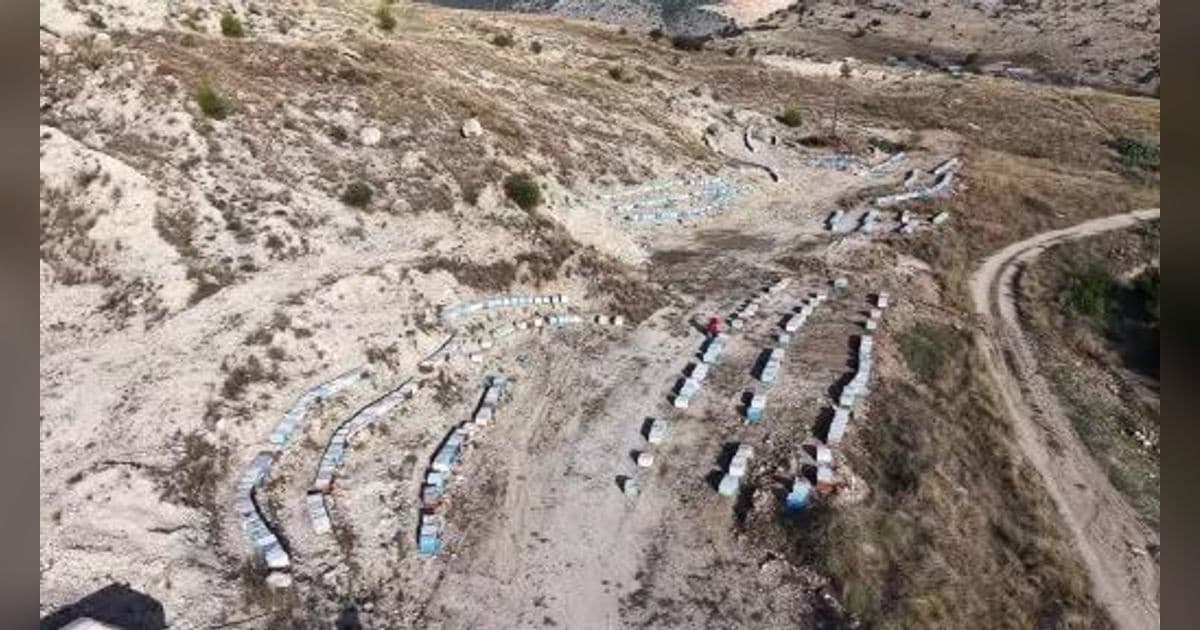 22 Yaşındaki Üniversite Mezunu Arıcılıkla Kendi İşinin Patronu Oldu