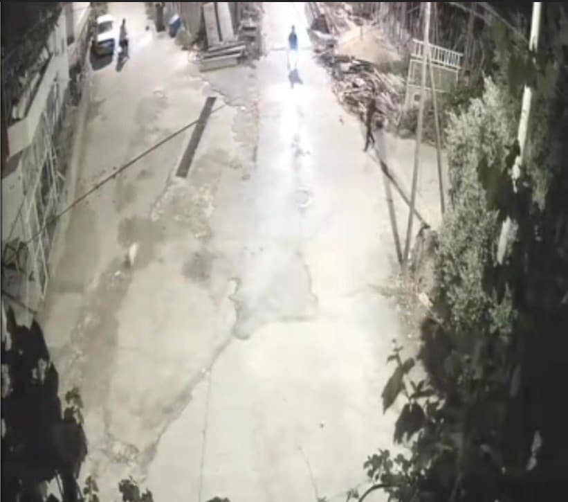 Motosikletli Şahıslardan Akılalmaz Hırsızlık: Kovaladıkları Köpeği Evinden Çaldılar