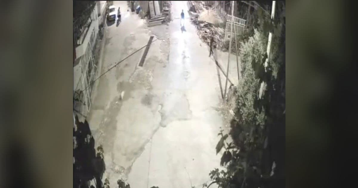 Motosikletli Şahıslardan Sokağı Birbirine Katan Köpek Hırsızlığı