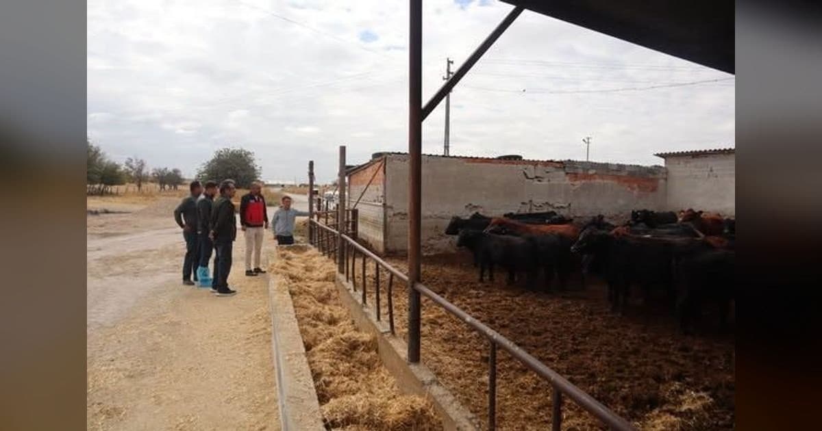 Karapınar'da Hayvancılık İşletmelerine Teknik Saha İncelemesi