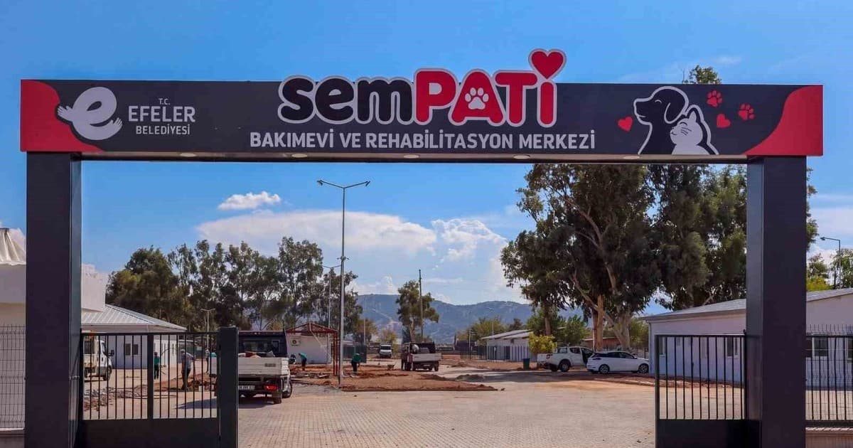 Efeler’de Sokak Hayvanları İçin Sempati Bakımevi ve Doğal Yaşam Alanı Açılıyor