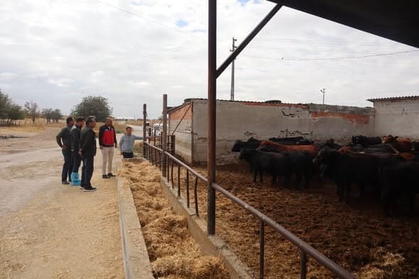 Karapınar'da Hayvancılık Tesislerine Teknik Denetim ve Destek Ziyareti