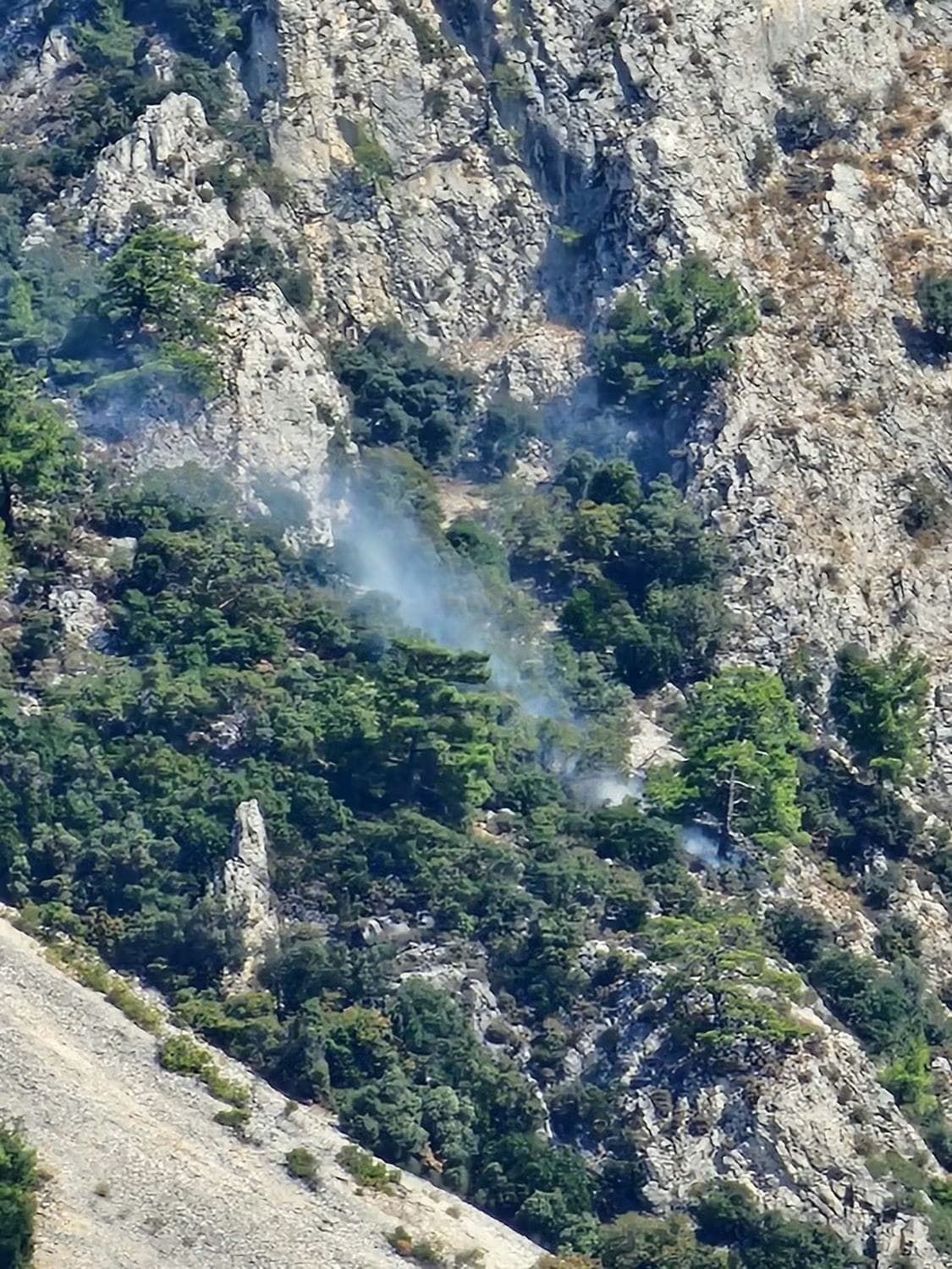Muğla'da Makilik Alanda Çıkan Yangın Hızla Kontrol Altına Alındı