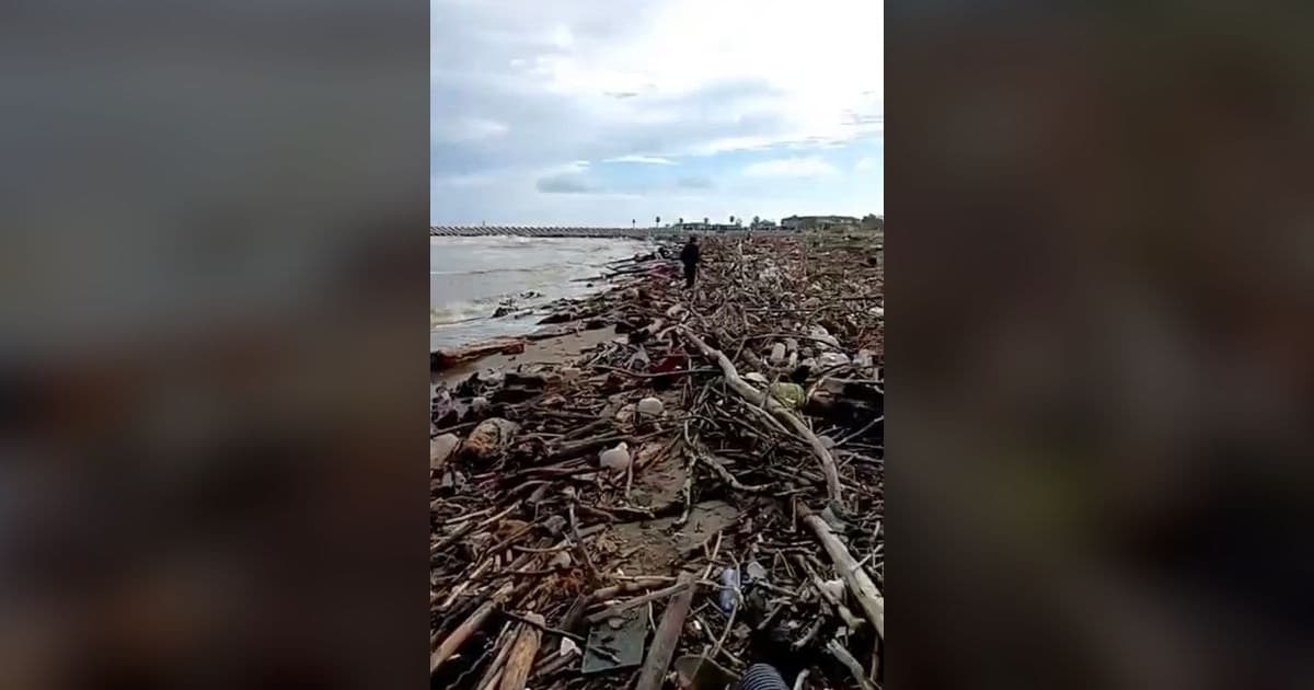 Sakarya Nehri'nin Taşıdığı Çalı ve Odun Parçaları Karasu Sahilini Kapladı