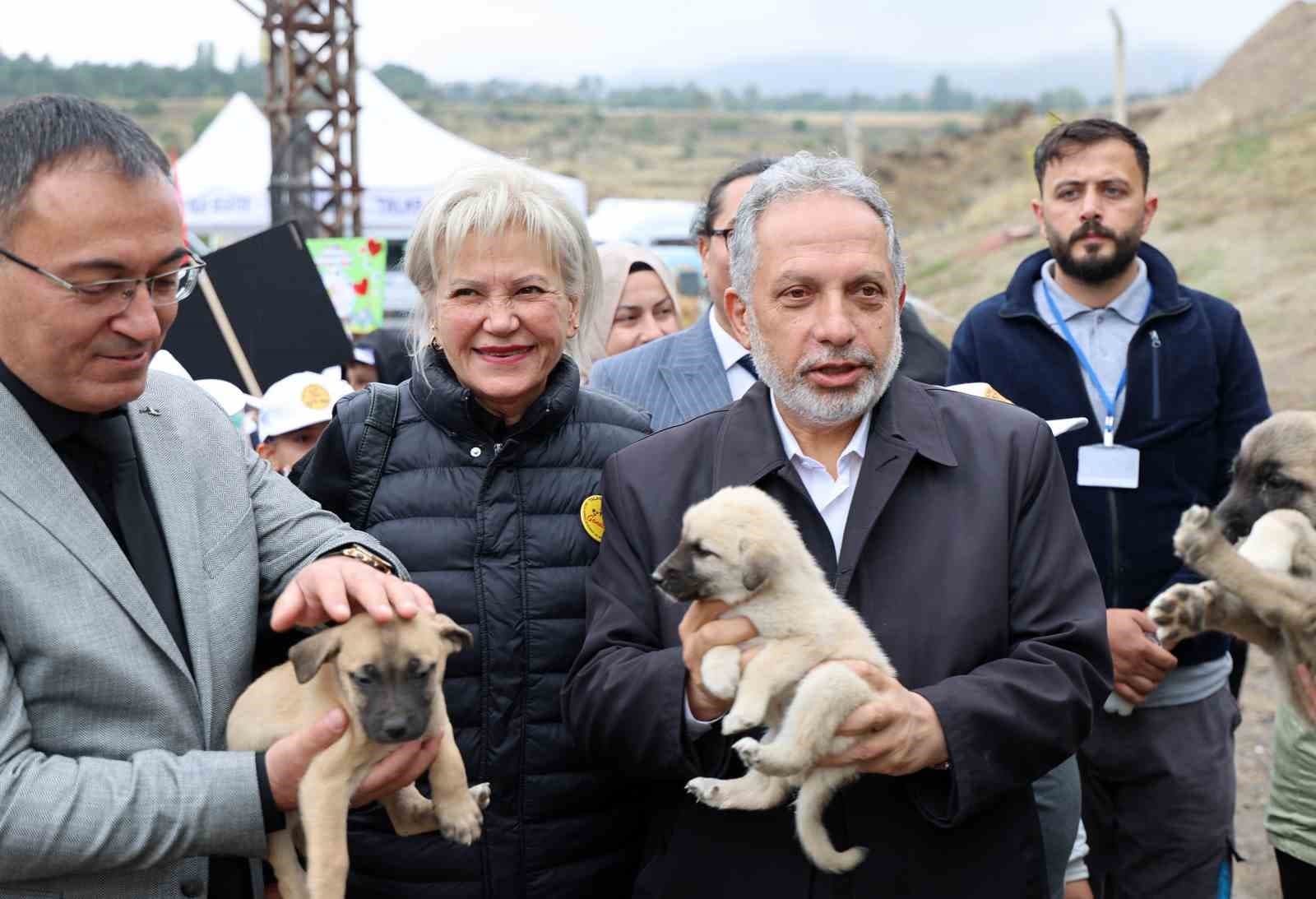 4 Ekim Hayvanları Koruma Günü Talas Pati Evi'nde Coşkuyla Kutlandı