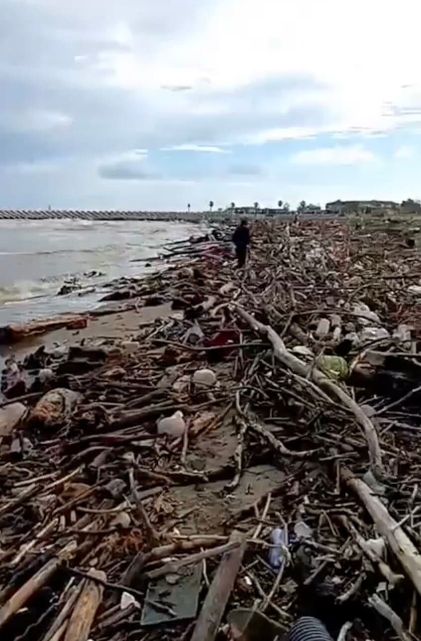 Sakarya Nehri'nin Taşıdığı Çalı ve Odunlar Karasu Sahilini Kapladı