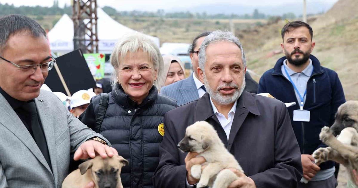 4 Ekim Hayvanları Koruma Günü Talas Pati Evi'nde Coşkuyla Kutlandı