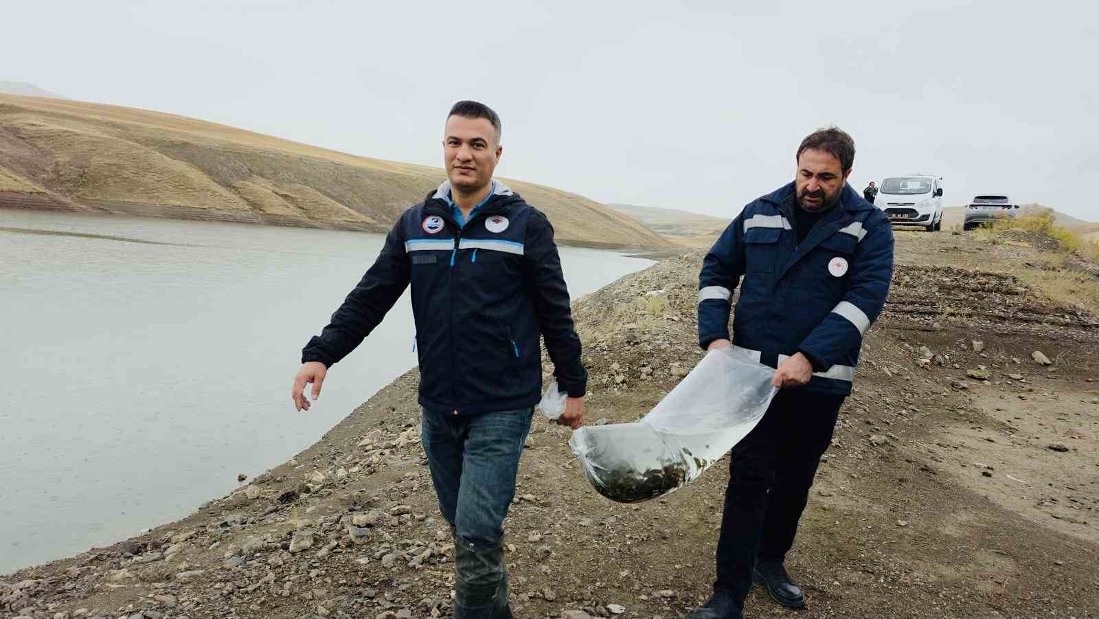 Van'da Su Ürünleri Sektöründen Kent Ekonomisine 25 Milyon Dolarlık Dev Katkı