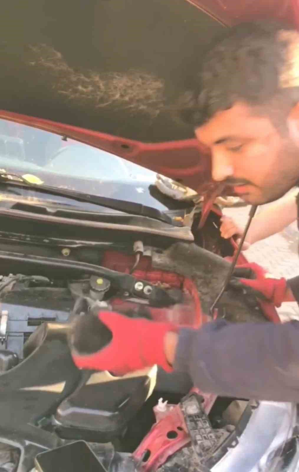 Aracın motoruna giren 3 yavru kedi itfaiye ekiplerince kurtarıldı