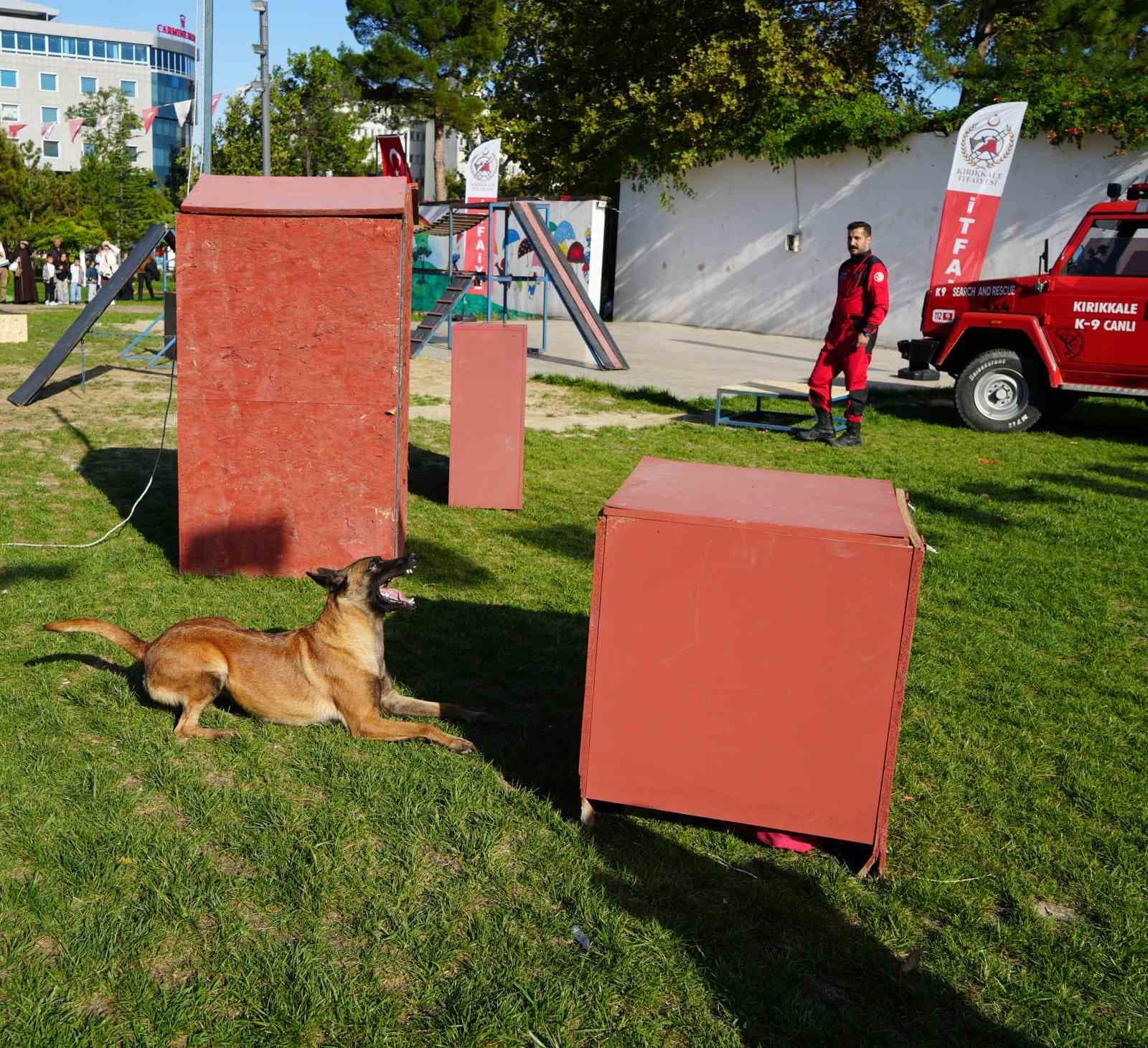 K9 köpekler hünerlerini sergiledi: Saklanan çocukları saniyeler içinde buldular