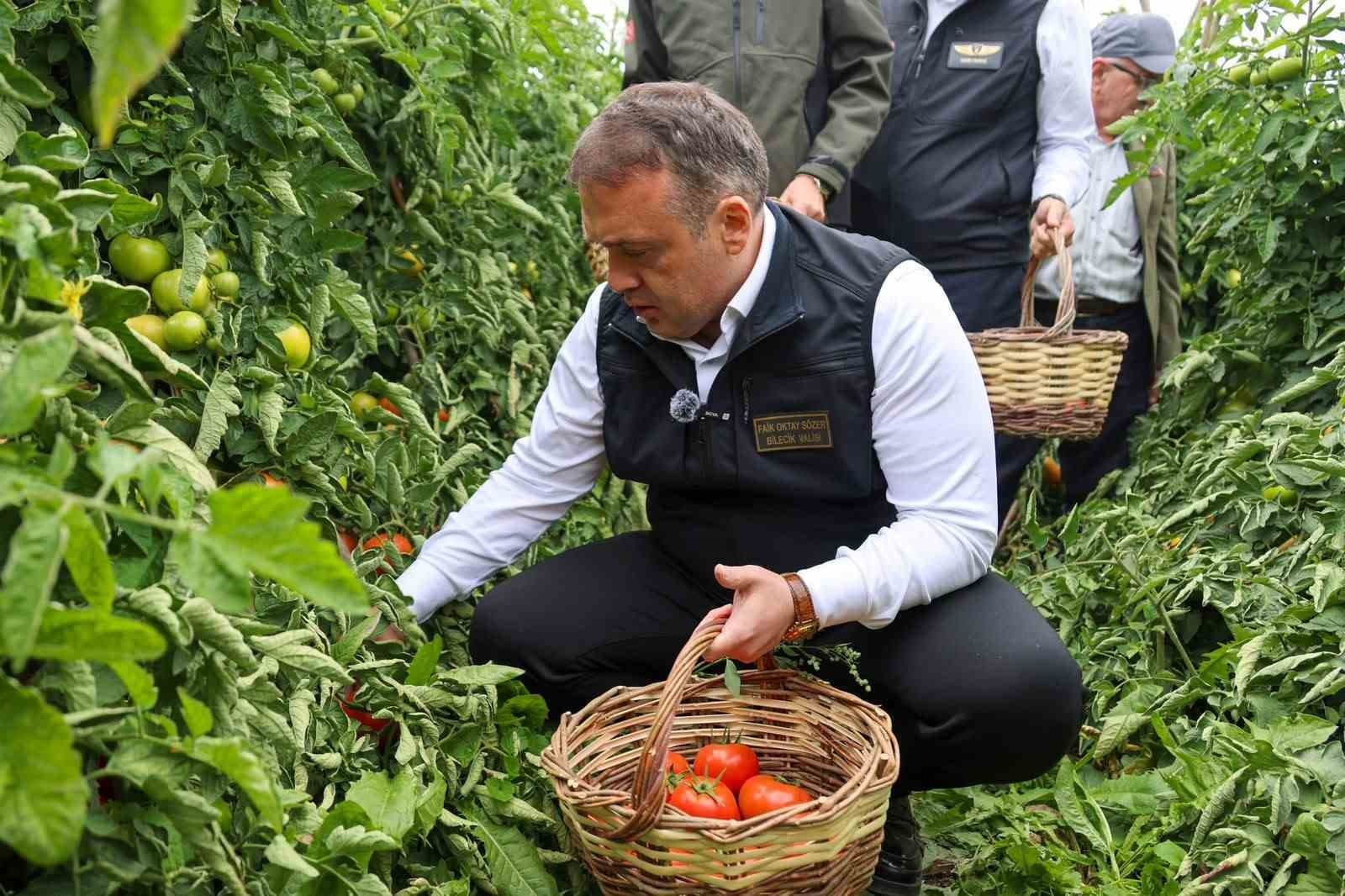 Bilecik’te sofralık ve salçalık domates mesaisi