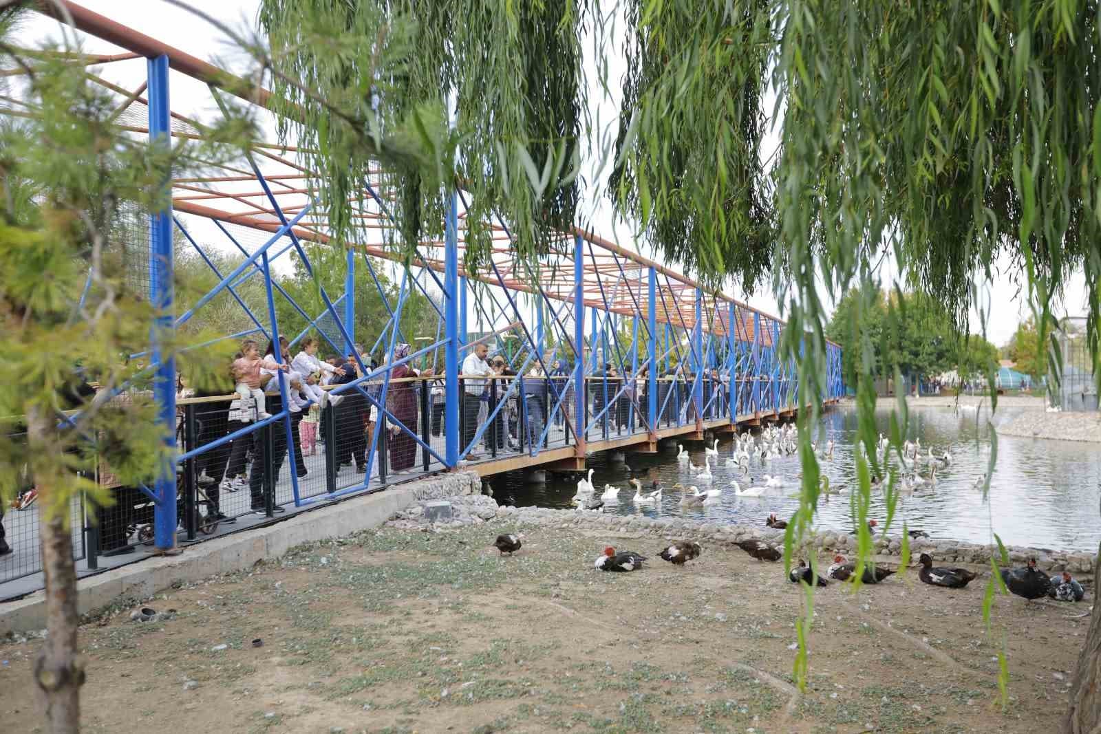 Ücretsiz hayvanat bahçesi uygulamasına yoğun ilgi