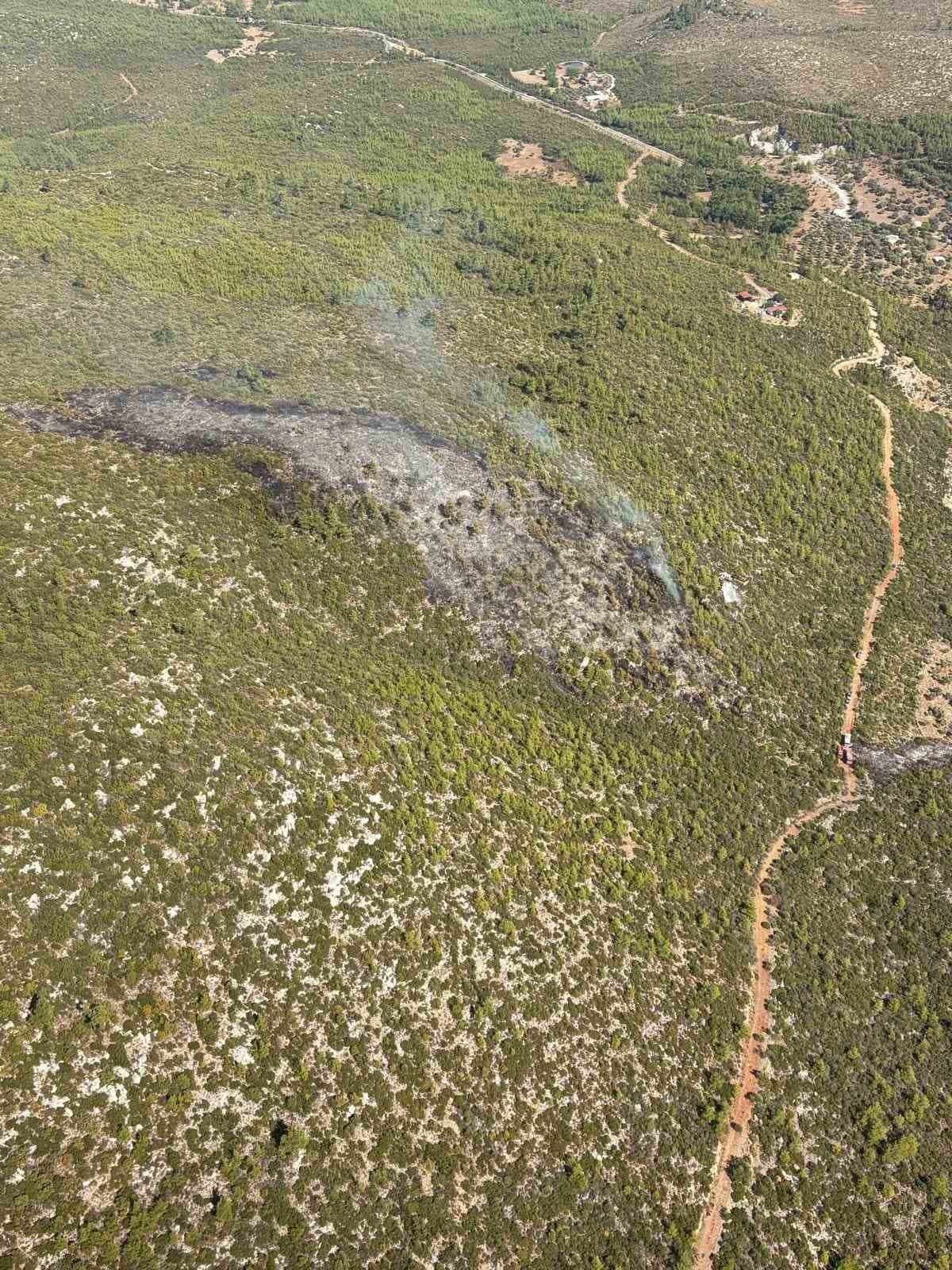 Bodrum’daki orman yangını kontrol altına alındı