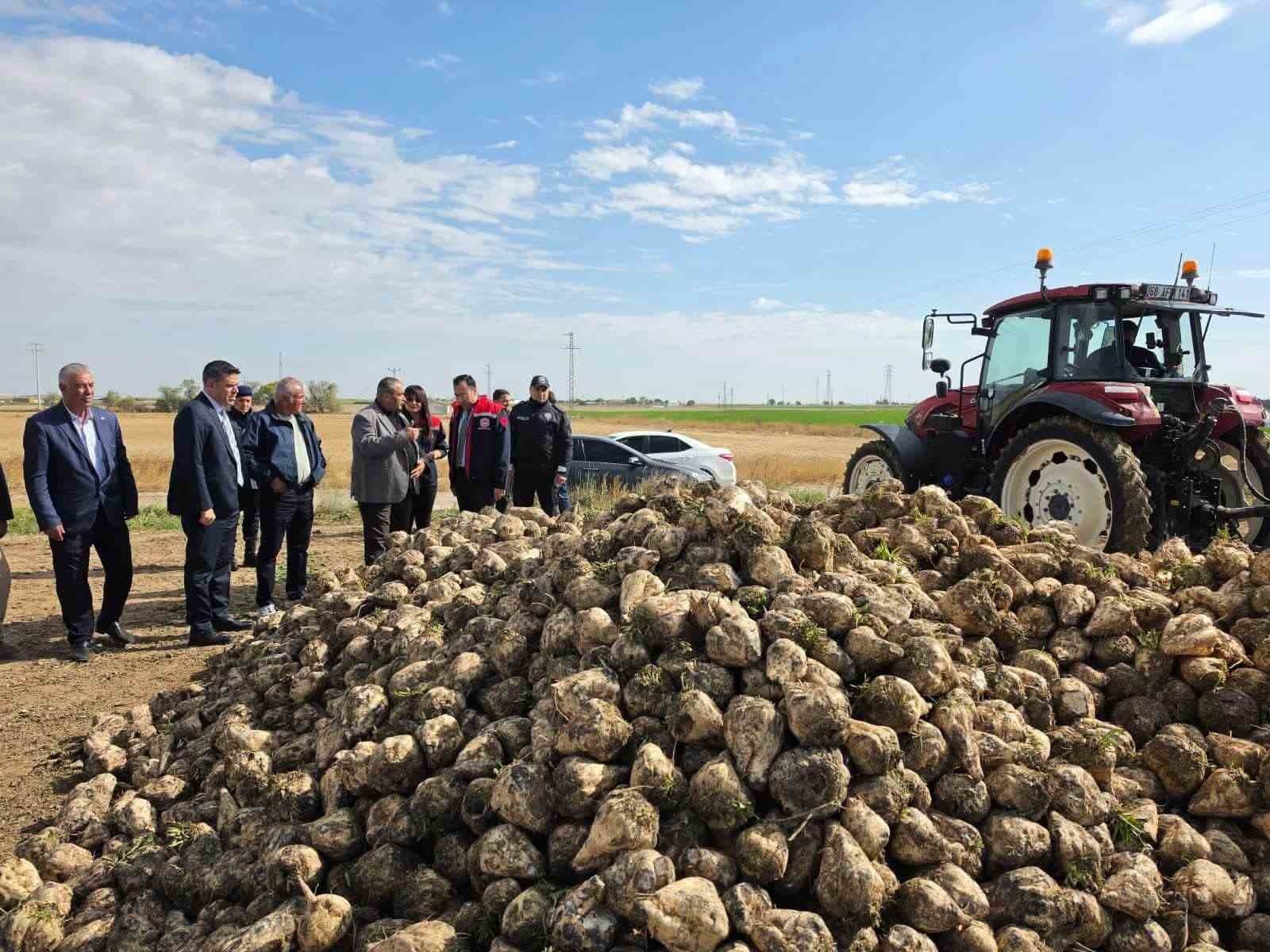 Sultanhanı’nda şeker pancarı hasadı başladı