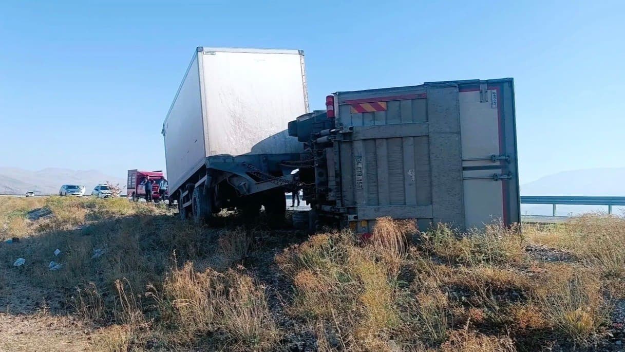 Iğdır'da Yola Çıkan Eşek Kazaya Sebep Oldu: 2 Yaralı