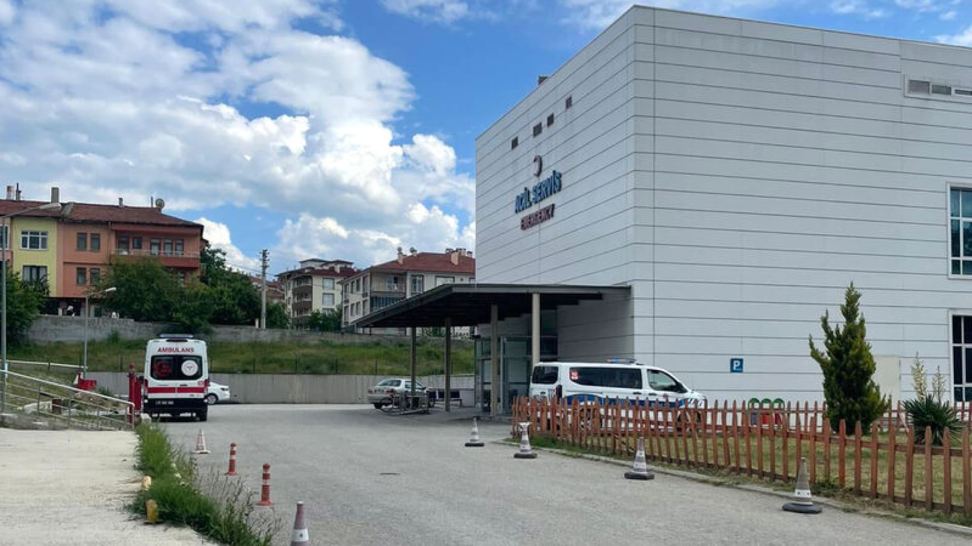 Arı sokması can aldı!