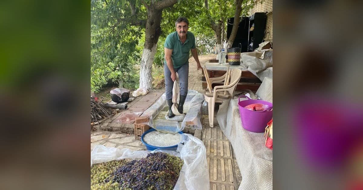 Aydın’da üzümler pekmeze dönüştürülmeye başlandı