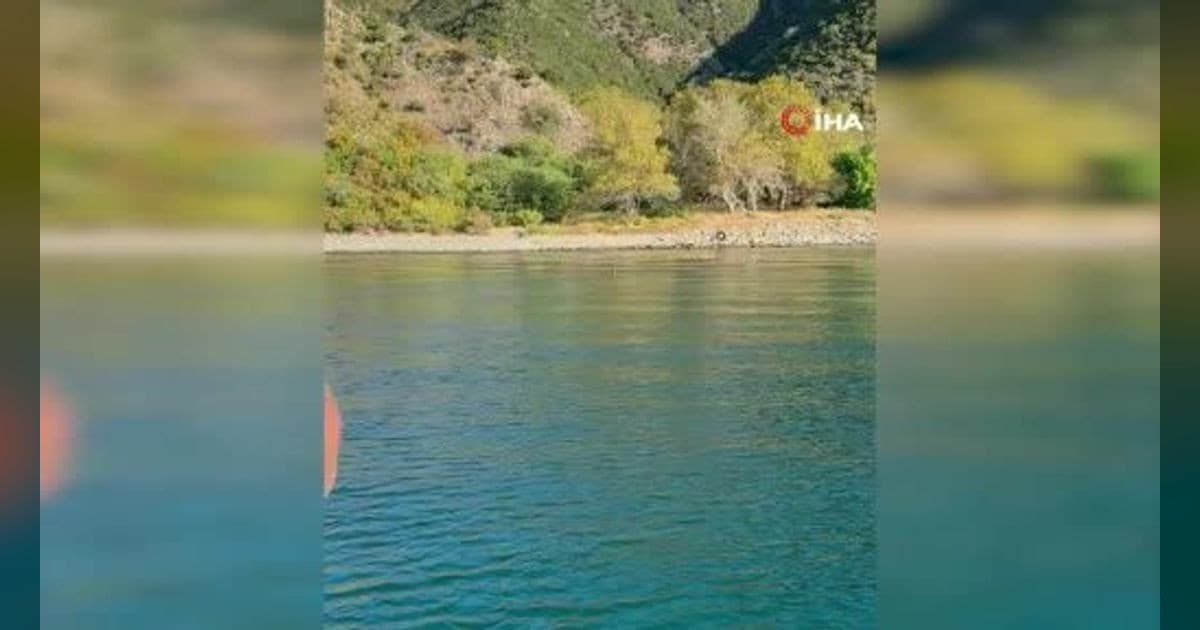 Tekirdağ’da denizde yüzen karaca şaşkınlık oluşturdu