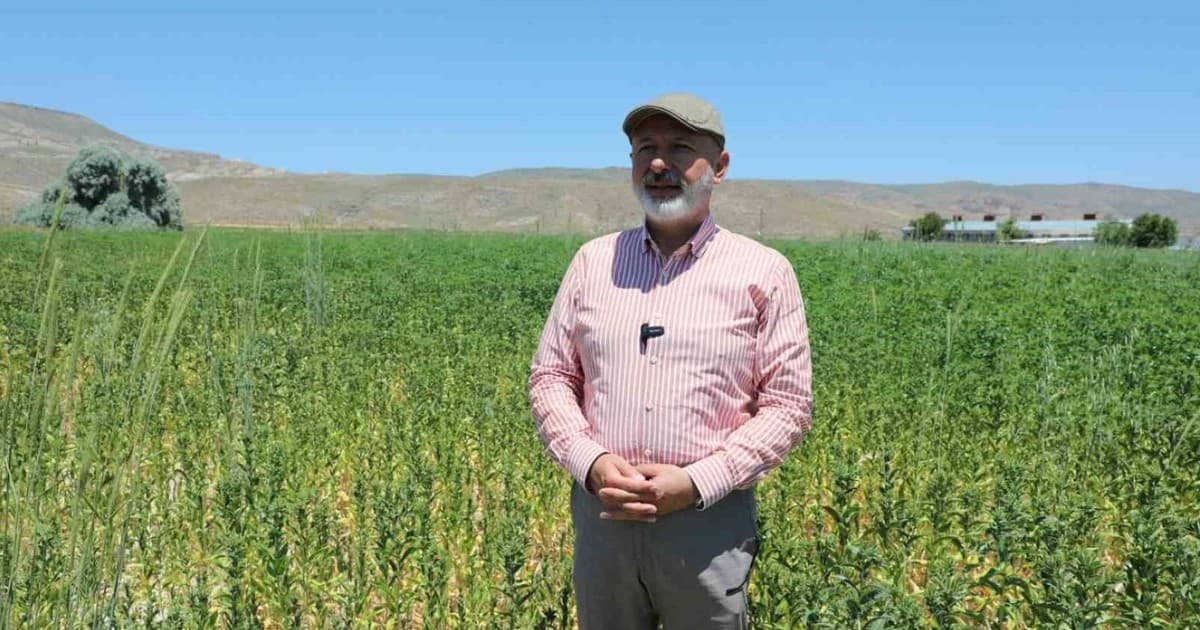 Başkan Çolakbayrakdar: "Ekiyoruz, üretiyoruz, hasat ediyoruz ve ailelerimizle paylaşıyoruz"