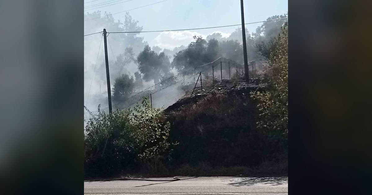 Milas-Söke karayolu üzerindeki yangın büyümeden söndürüldü