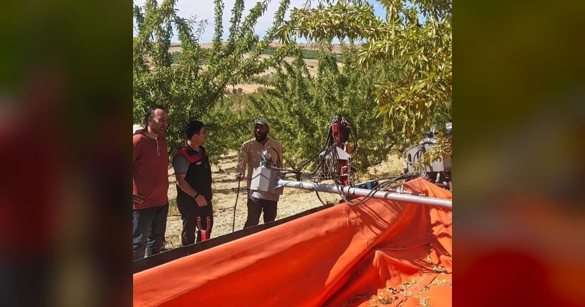 Ağın'da Badem Bahçelerinde Hasat Öncesi Saha İncelemesi Yapıldı