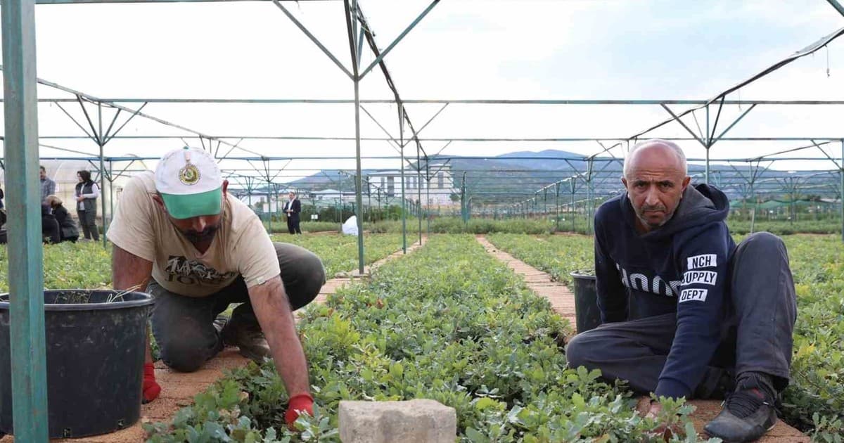 Bingöl'de Yıllık 3 Milyon Kapasiteli Fidanlık Bölgenin Yeşillenmesine Katkı Sağlıyor