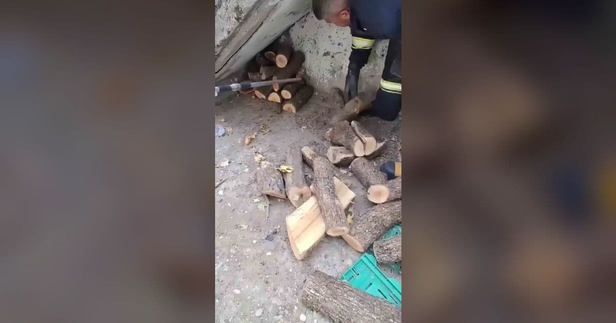 Diyarbakır'da Odunluğa Sığınan Dev Yılan İtfaiye Tarafından Kurtarıldı