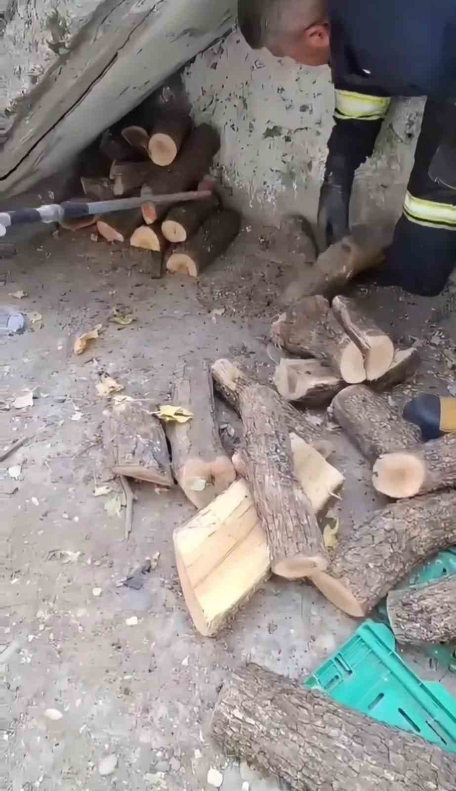 Diyarbakır'da Odunluğa Sığınan Dev Yılan İtfaiye Tarafından Yakalandı