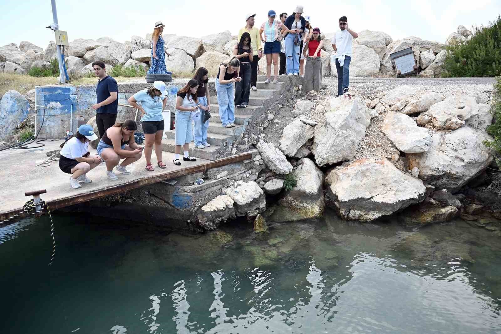 Mersin'de Deniz Canlıları MINKA Uygulamasıyla Kayıt Altına Alınıyor